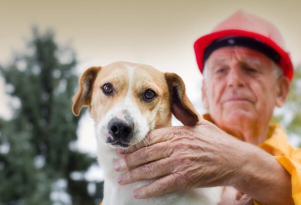 Fire Safety for Pets How to Keep Your Furry Friends Safe