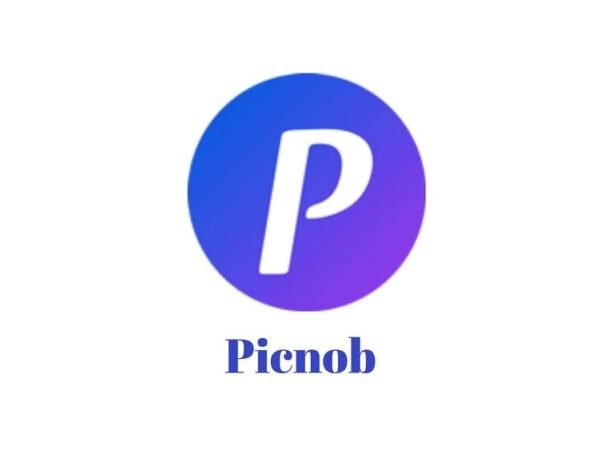 Picnob Instagram Viewer and Downloader