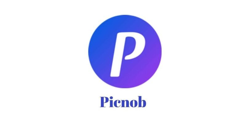 Picnob Instagram Viewer and Downloader