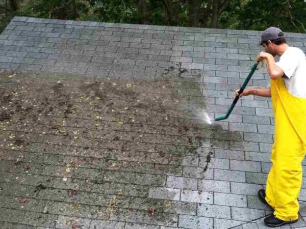 Roof Cleaning Auckland Keeping Your Roof in Top Shape