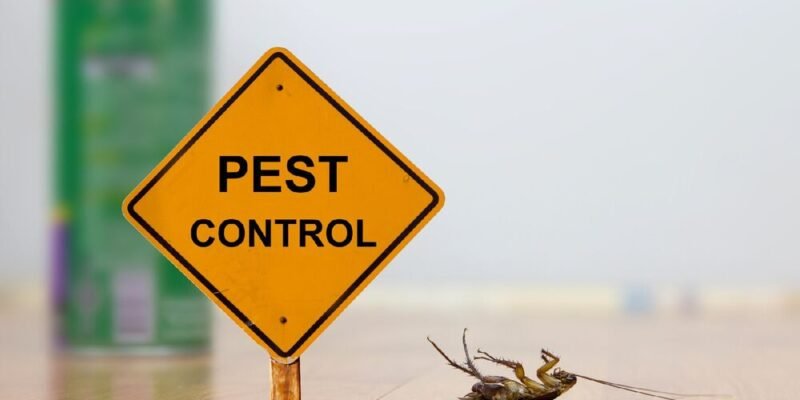 Pest Control Tips for London Homeowners