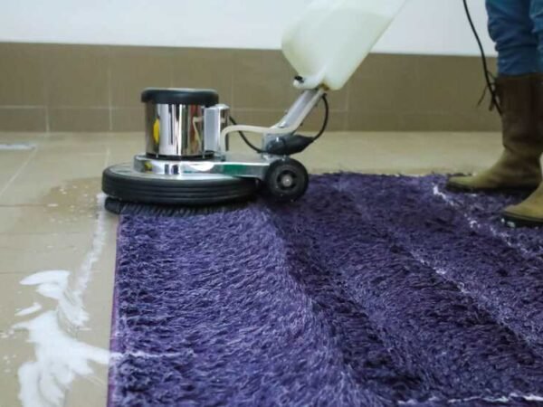 Search for the Cheapest Carpet Cleaners in Kenya