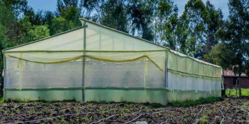 Understanding Shade Net Prices in Kenya What to Expect