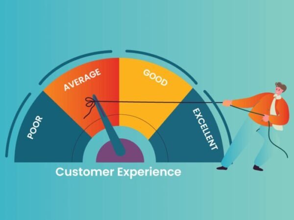 A Tale of the Best Companies for Customer Experience