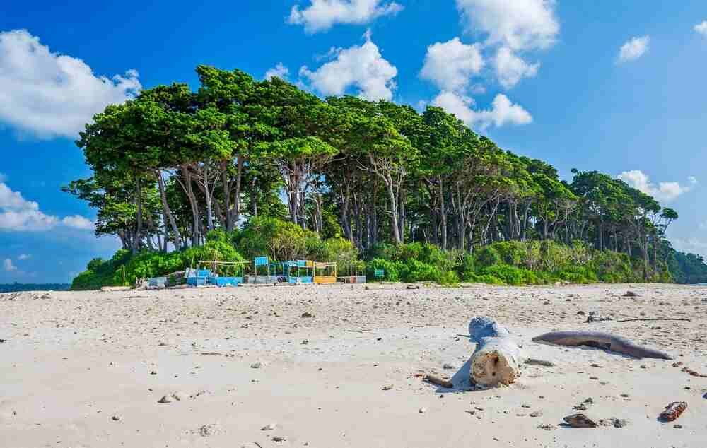 Laxmanpur Beach A Photographer's Paradise