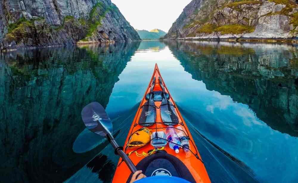 Mangrove Kayaking Discovering Andaman's Hidden Gems