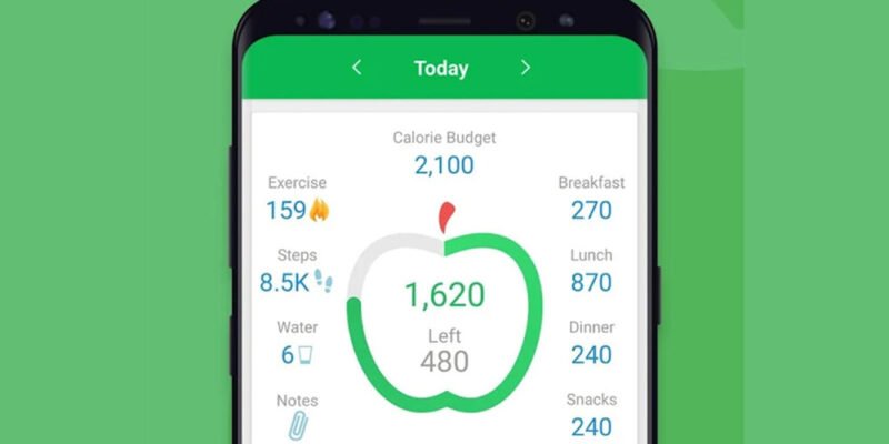 What are the Top Diet and Nutrition Apps in 2024