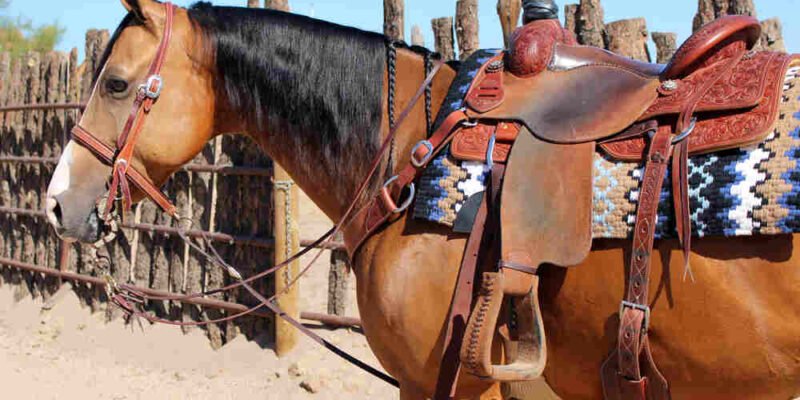 Find Your Perfect Saddle Explore High-Quality Options at Horsesaddledeals.com