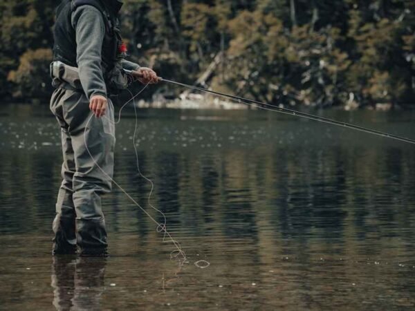 Fly Fishing A Beginner's Guide to Catching More Fish