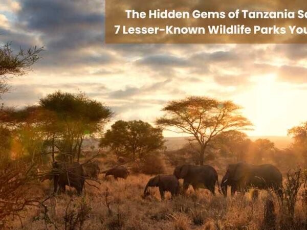 The Hidden Gems of Tanzania Safaris 7 Lesser-Known Wildlife Parks You'll Love