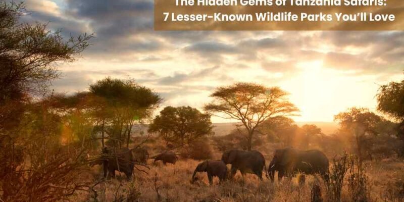 The Hidden Gems of Tanzania Safaris 7 Lesser-Known Wildlife Parks You'll Love