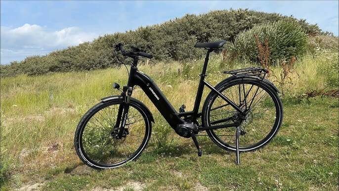 Affordable Grundig Bicycle Changing the Face of eBike Technology