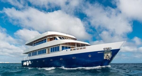 Exploring Spirit Liveaboards A New Era in Luxury and Adventure at Sea