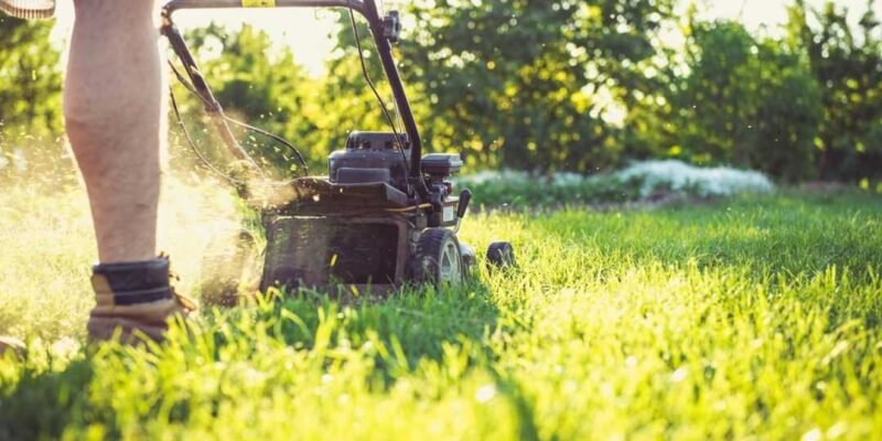 How to Choose the Right Lawn for Your Outdoor Space