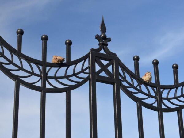 The Top Five Fencing Styles Available for Your Commercial Property Today
