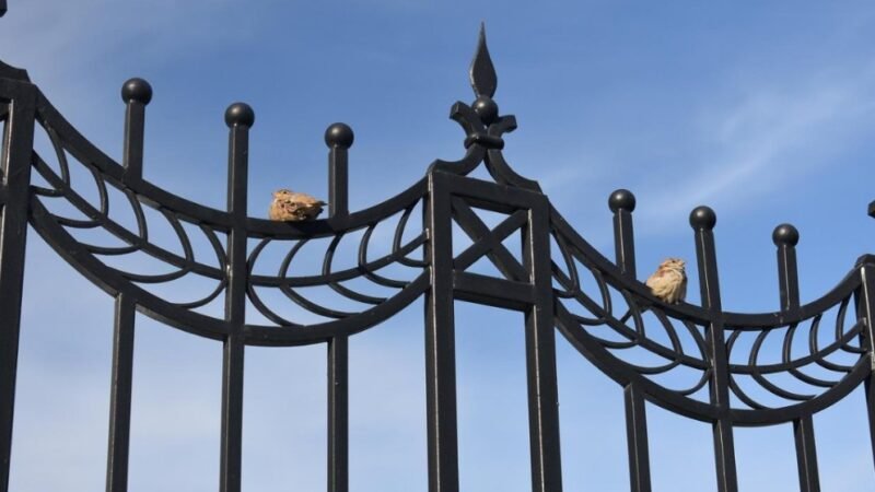 The Top Five Fencing Styles Available for Your Commercial Property Today